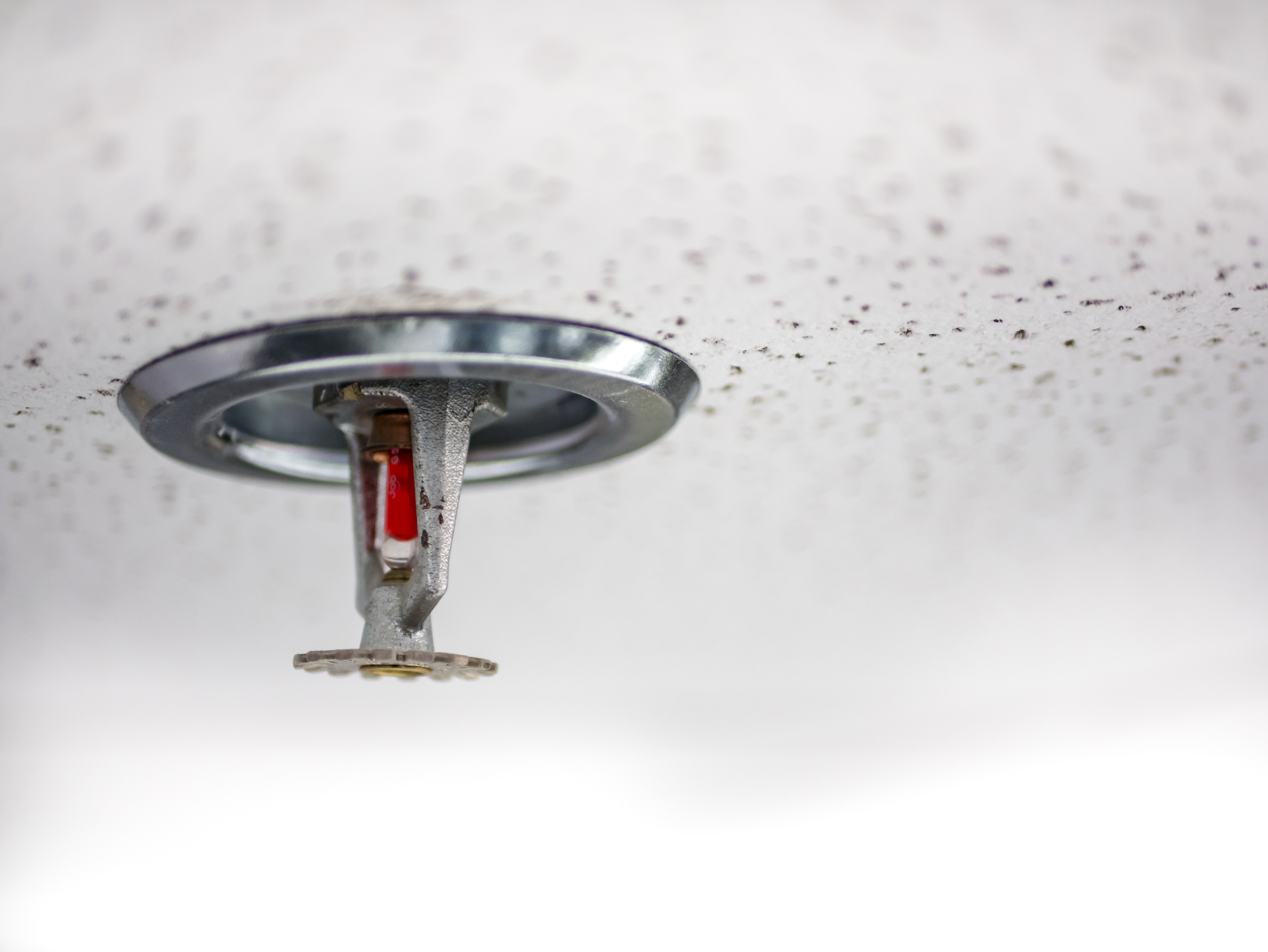 Local Roadside Assistance Expertise in Avondale Estates — Avondale Estates, GA